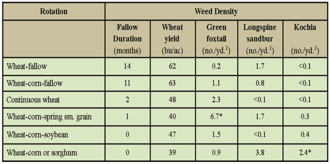 Effect of winter wheat varieties on summer annual weed  density